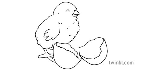 sisiw in english